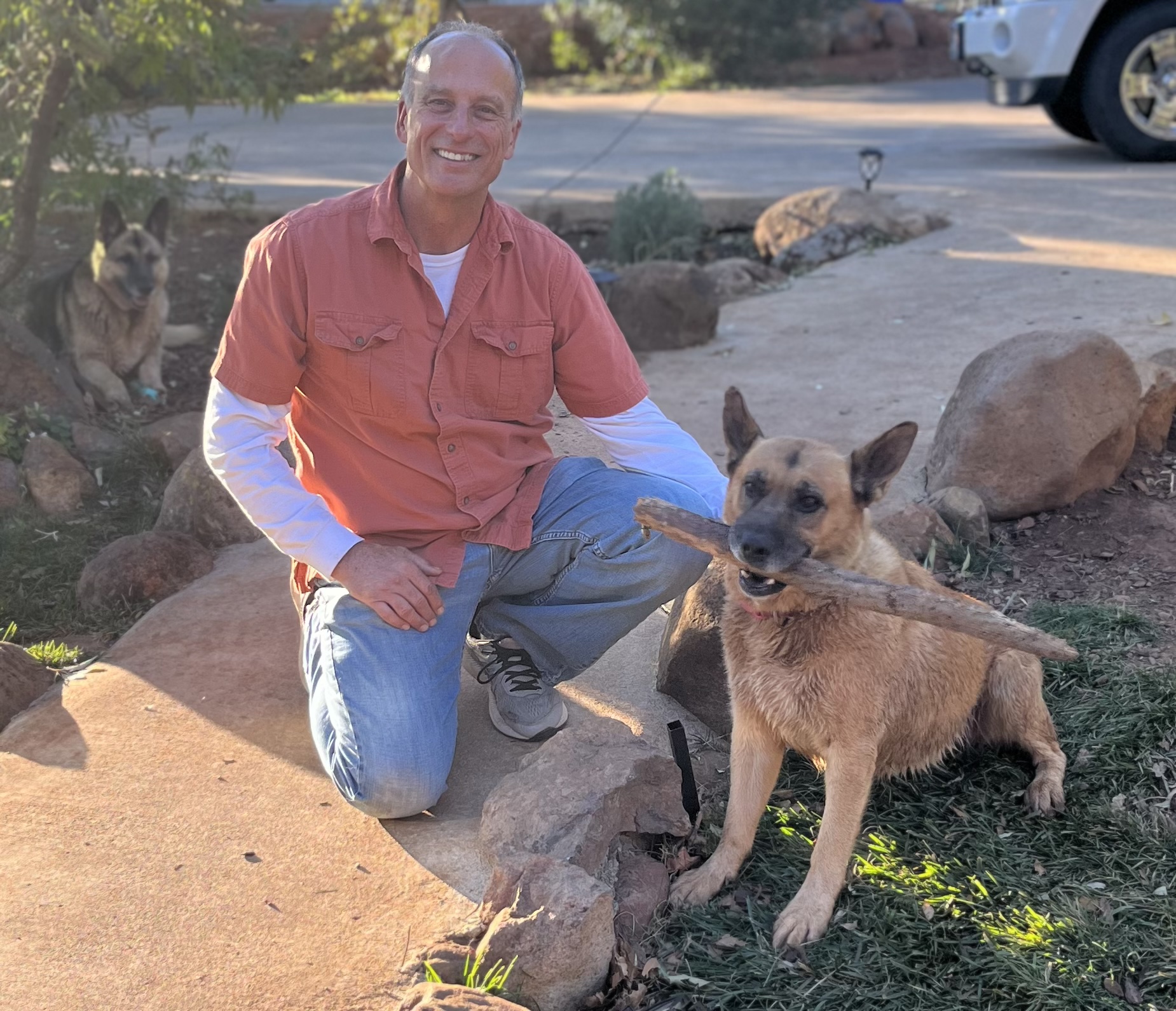 Pack Leader Dog Training Positive Methods for Permanent Results